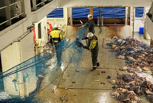 Gir Kystvakten og direktoratet mer makt