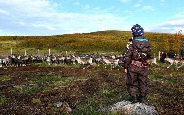 – Fullstendig uholdbart, sier NRL-leder