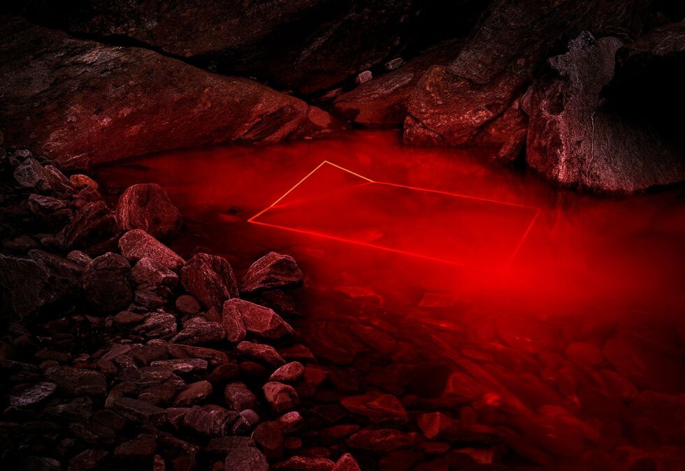 Gjert Rognlis fotoprosjekt «What Nature Knows» stakk av med sølv i Fine Art Professional kategorien fra Chromatic Photography Award. Chromatic Photography Award er rangert som en av de viktigste fotoprisene i verden.
 Foto: Gjert Rognli