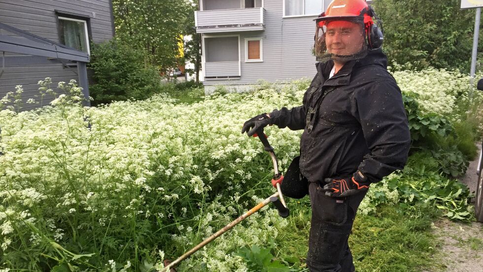Trond Gøran Mikkola har erklært krig mot hundekjeksen i egen hage, og tar seg her en pause etter ei hard økt.
 Foto: Hallgeir Henriksen