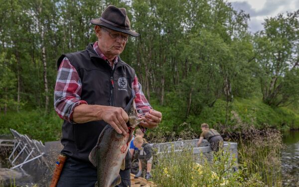 Har håp om å vinne «pukkellaks-krigen»