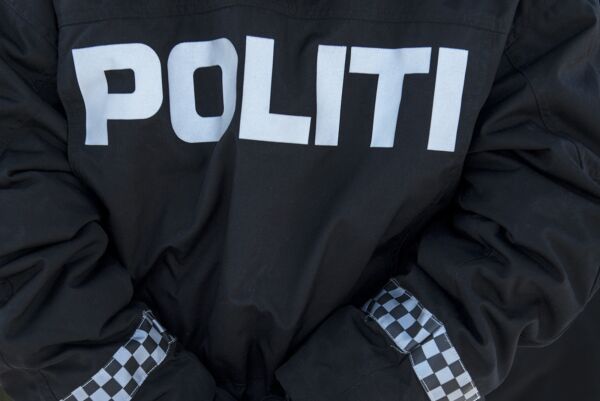 Domfelt etter vold mot politiet