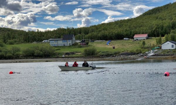 Sjølaksefisket er miljøfiske og ingen trussel mot villaksen