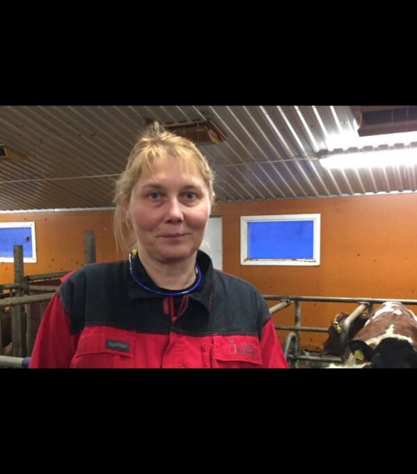 Krever skadefellingslaget gjeninnført