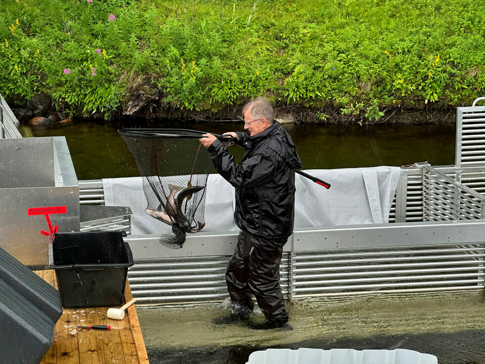 Prosjektleder Øystein Y. Hansen tar her opp en hov med russelaks til en ventende hundeeier på elvebredden i Karpelva.
 Foto: Hallgeir Henriksen
