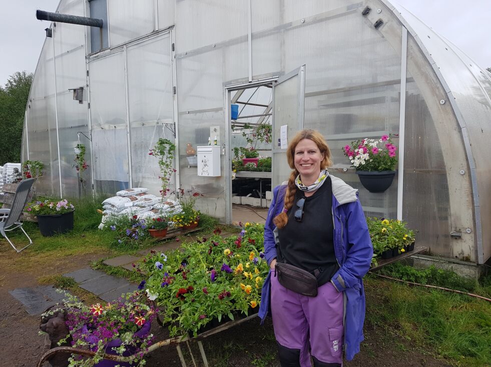 Anne-Britt Lindseth har drevet gartneri i Tana i 30 år, og hele sommeren har hun gartneriet i Holmfjell åpent til glede for de som vil pynte opp hagene sine med blomster, eller plante ut noen nye busker eller stauder.
 Foto: Tom Hardy
