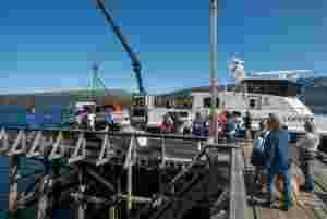 New public management på Lopphavet
