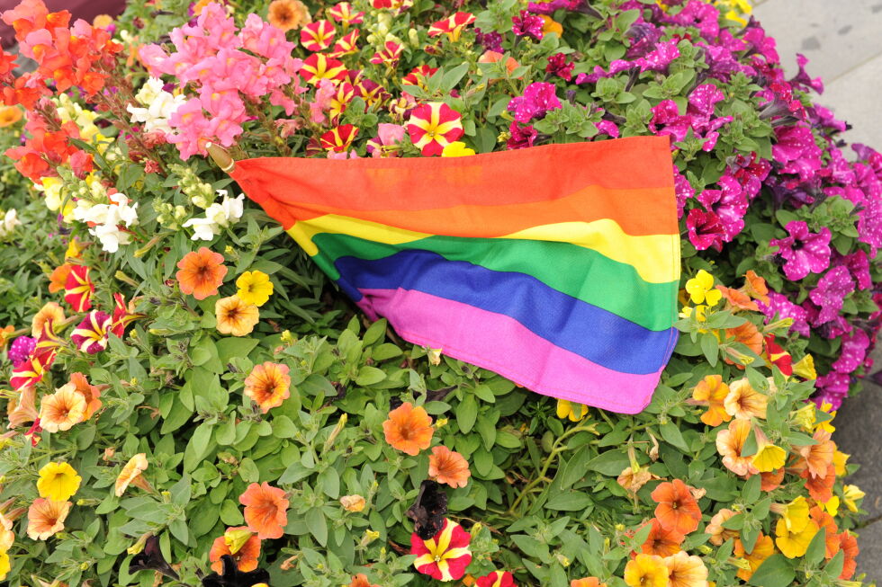 På landsmøtet til KrF ble det flertall for at bare det norske, samiske og kvænske flagget skal vaie på offentlige flaggstenger i Norge. Det betyr at prideflagget ikke kan henge akkurat der, om partiet får det som de vil.
 Foto: Rita Heitmann