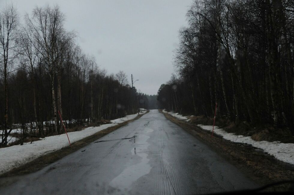 Parti fra veien gjennom Pasvikdalen. Arkivfoto: Hallgeir Henriksen