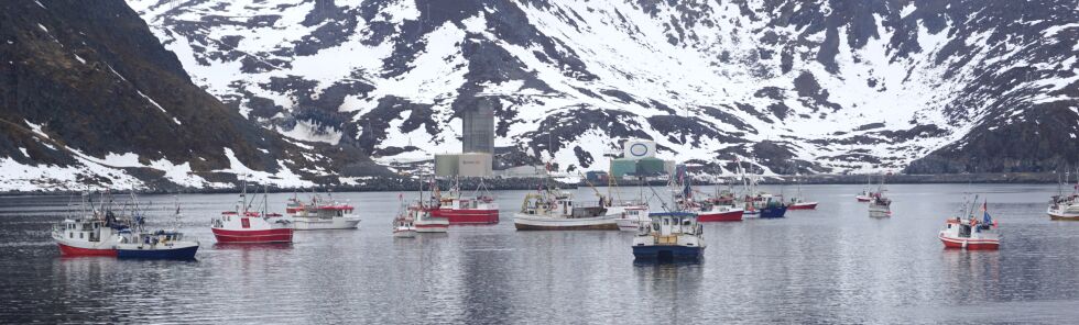 Nordkapp Arbeiderparti støtter fiskernes markering mot kvotemeldinga.
 Foto: Geir Johansen