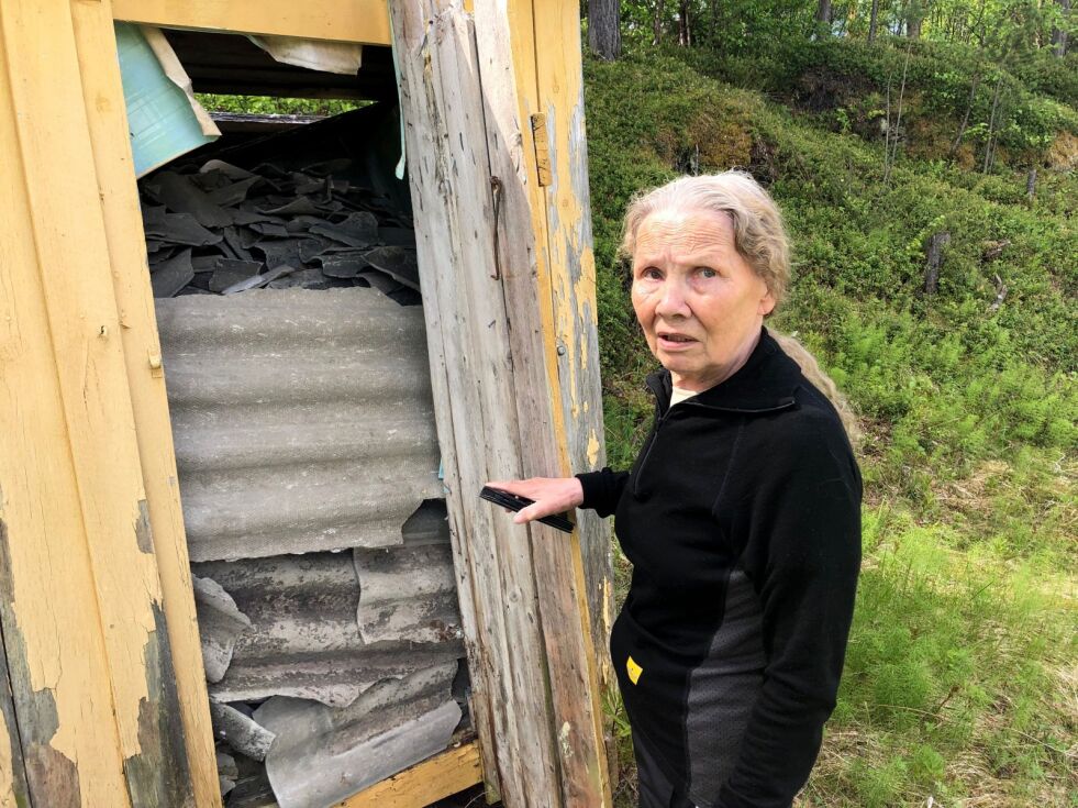 Gunhild Sara leter fortvilet etter noen som kan fjerne de asbestholdige platene fra eiendommen hennes ved Rávdojohk i Karasjok.
 Foto: Stein Torger Svala