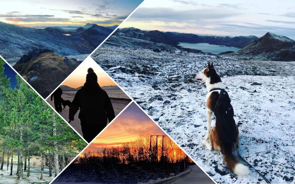 Et utvalg av deltagerne sine instagrambilder – #julesprek.
 Foto: Fotomontasje