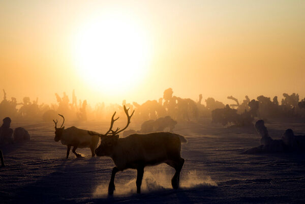 Finnmark treng si eiga tidssone – for helsa si skuld!