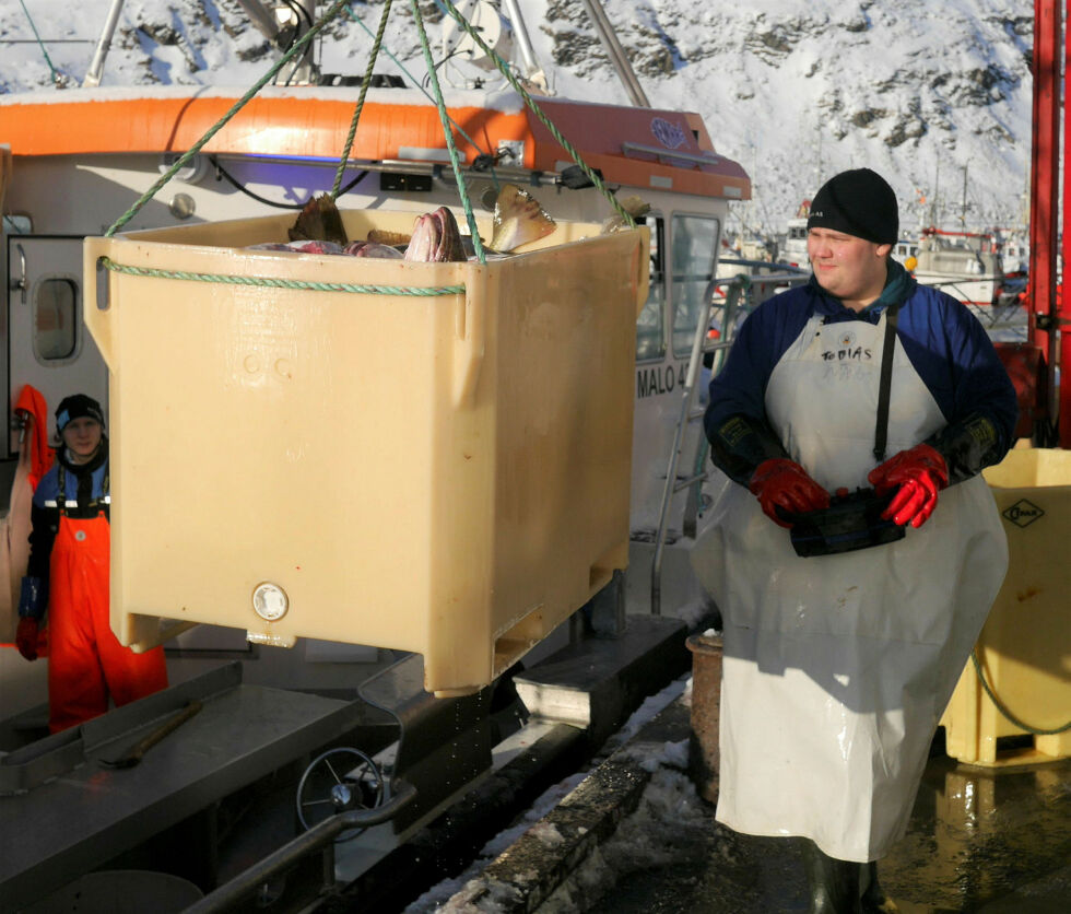 Det ble iland­ført 30 pro­sent min­dre torsk til an­legg­et i Nord­våg­en i 2022 enn i 2021. Det med­fø­rer un­der­skudd i regn­ska­pet for fjor­år­et.
 Foto: Geir Johansen