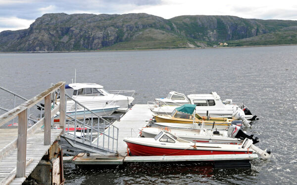Falt i sjøen og drukna