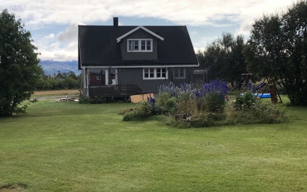 Se hvem som har kjøpt og solgt eiendom