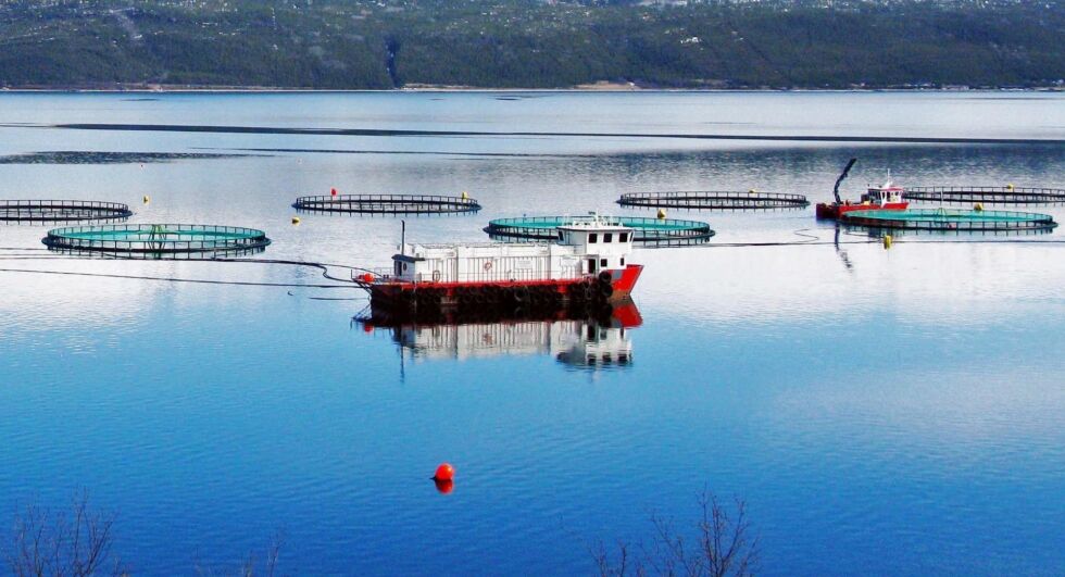 Illustrasjonsfoto: Elin M Wersland