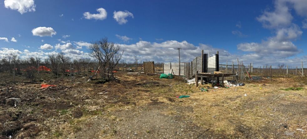 Få minutter etter at Ságat tok kontakt med reineieren, så var dette ryddet opp.
 Foto: Stein T Svala