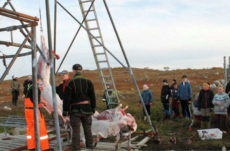 Elev­ene sy­nes det var spenn­en­de å se på hvor­dan slak­ting av rein fore­gikk.