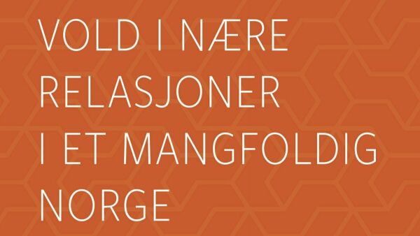Tar for seg samiske forhold i antologi om vold i nære relasjoner