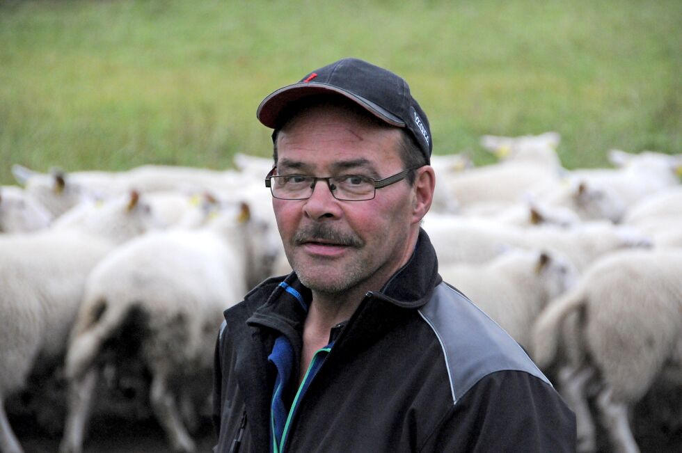 Sauebonde Bjørn Christiansen liker godt at bamsen i år har holdt seg unna neidensauene.
 Foto: Hallgeir Henriksen