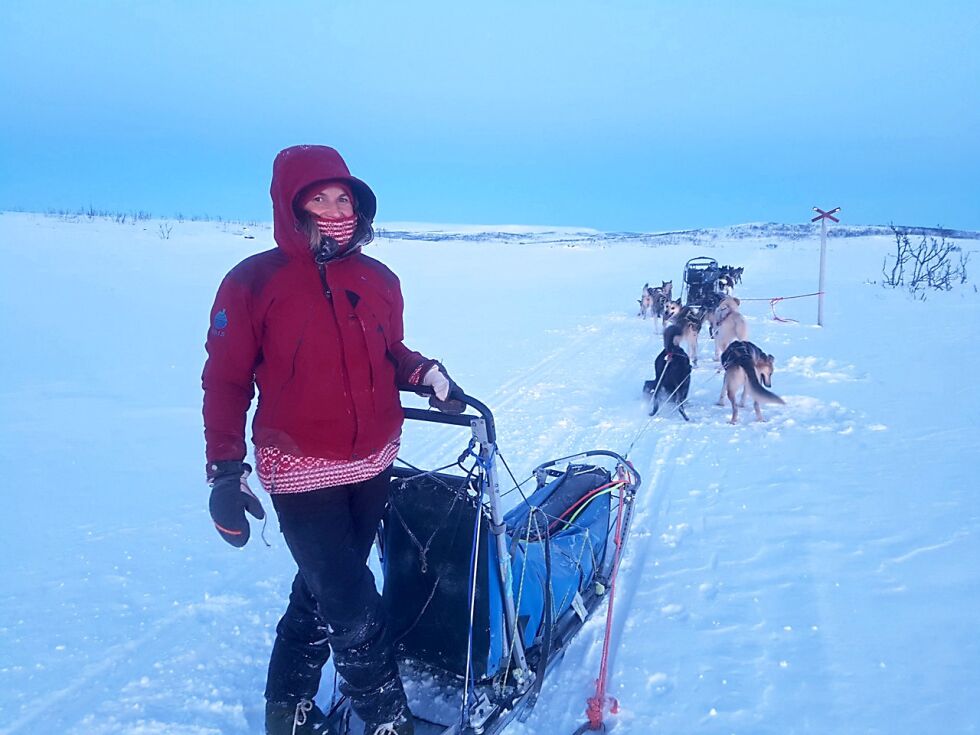 Máret Heatta fra Kautokeino flyttet tilbake til Norge i 2016 etter seks år i Alaska. Nå ønsker hun å etablere seg med hundekennel og gjenoppta hundekjøringen. Her ute på sledetur sammen med artikkelforfatteren, sånn for å døyve abstinensen for hundekjøring, før intervjuet ble foretatt.
 Foto: Tom Hardy