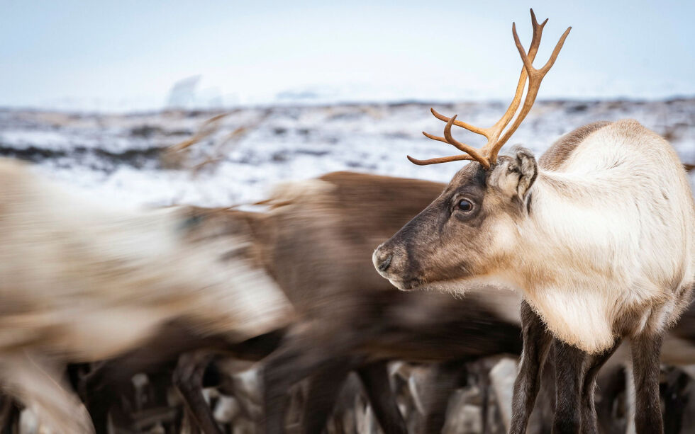 Tidsforsinkelser med hjelp gir mistillit til beredskapsutvalget.
 Foto: Cecilie Bergan Stuedal