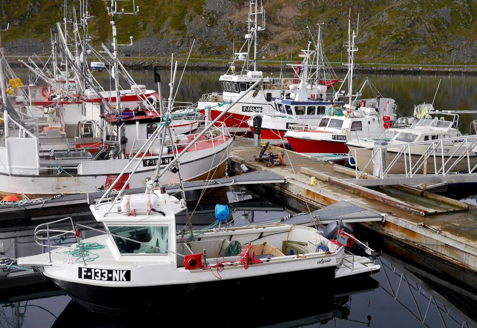 Sommerbilde fra Nordvågen (Ill.foto: Geir Johansen)