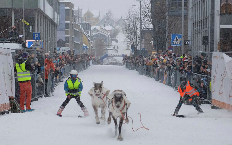 Rein og kusker har akkurat kryssa mållinjen, og Anders Nils K. Eira står klar til å hente inn dyrene.
 Foto: Tuva Johansen