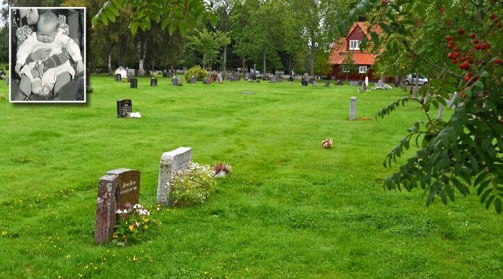 72 år etter at lille Lilly Birgithe Persen (innfelt) fra Lakselv ble gravlagt på Stavne kirkegård i Trondheim bittelille julaften i 1944, ser det ut for at familien skal få sette opp en privat gravstein på hennes siste hvilested. Under buketten tett ved den lyseste av de to nærmeste gravsteinene hviler ettåringen fra Porsanger. Og bare 2-3 meter lenger bort i samme tenkte rekke hviler lille Einar Benjaminsen fra Lakselv, som storebror Ragnvald skal ordne gravstein til.
 Foto: Arkiv