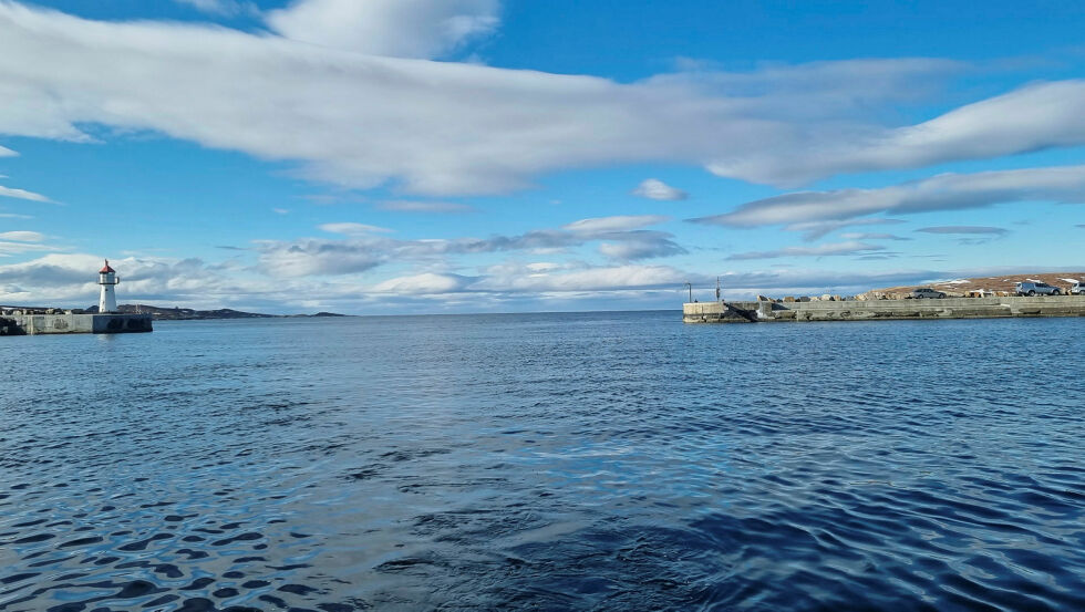 Illustrasjonsfoto av havna i Vardø en fin maidag.
 Foto: Privat