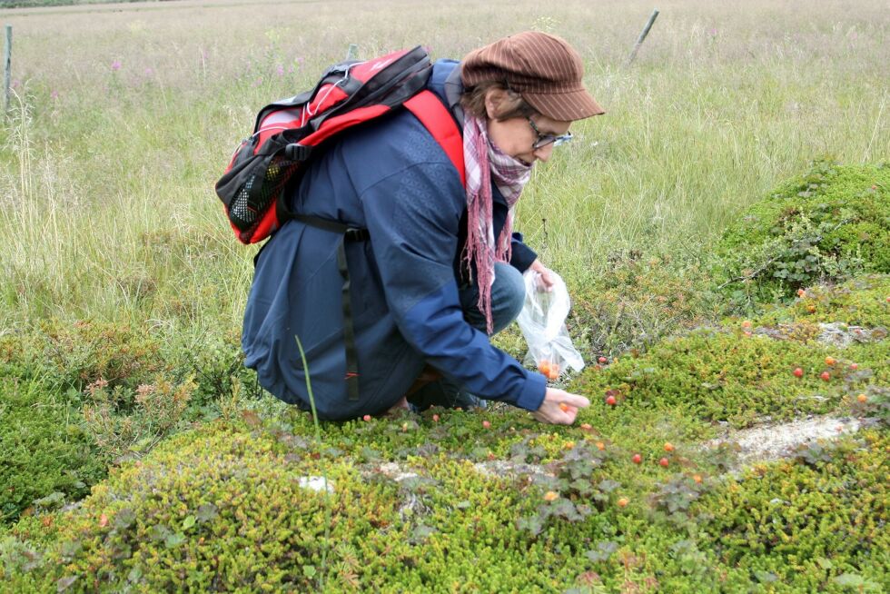 Olaug Maja Seljenes fortalte den utrolige historien om sin nevenyttige far, Per Pettersen (Maja).
 Foto: Mari-Ann Nilssen