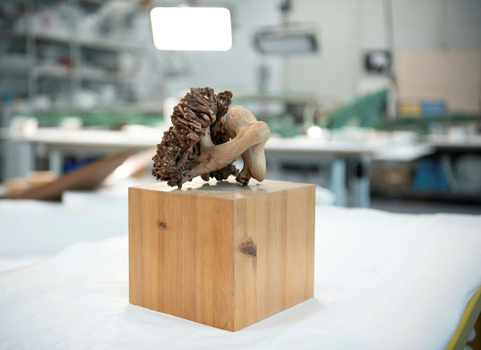 Nasjonalmuseet har kjøpt inn kunstverket «Natur og form» av Iver Jåks fra 1981.
 Foto: Anna Bjørgli/Nasjonalmuseet