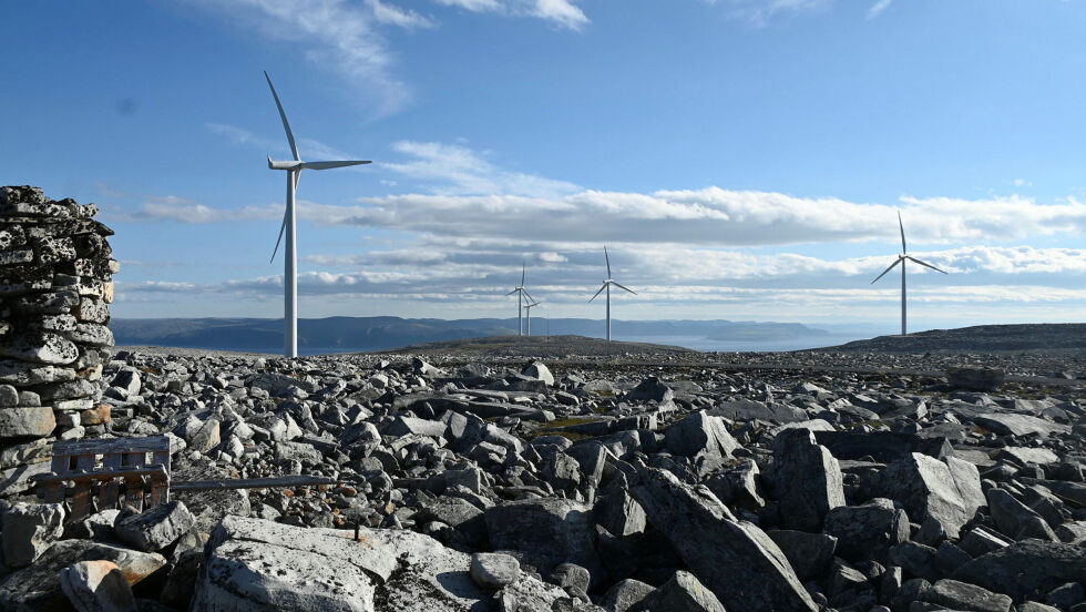 Inter­na­sjo­nalt er det doku­men­tert til­fel­ler av tidvis store antall kol­li­sjo­ner mellom insekt og rotor­bla­der ved vindkraftanlegg.
 Foto: Irmelin Klemetzen