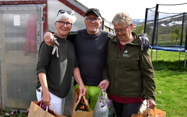 Populære sommerblomster hos Stein Erik