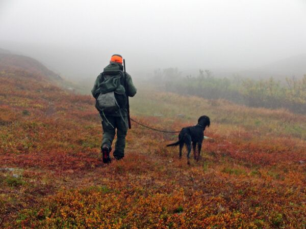 En menneskerett å få jakte med hund?