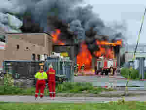 Storbrann i Vadsø