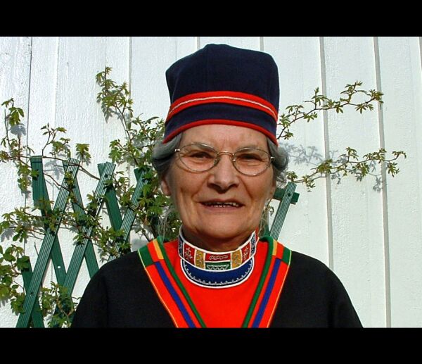 Samisk eldreombud