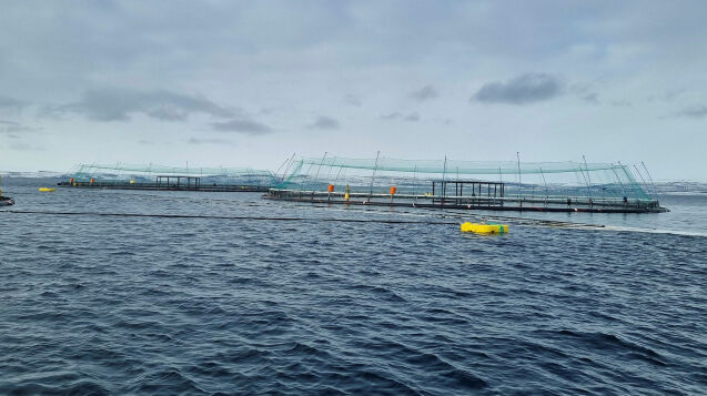 Etablerer nytt system for havbruk