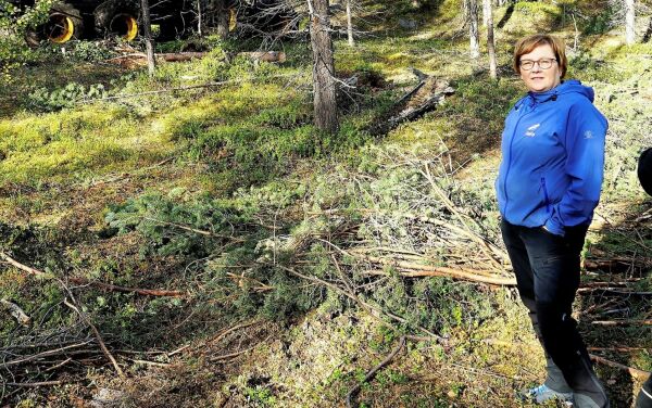 Nå har FeFo trukket utlysningen