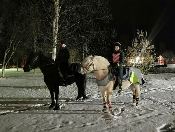 «Vi har ingen å miste!»