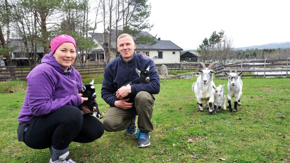 Ole Magnus Triumf og Maria Louise Keskitalo har hatt, og har hendene fulle av både dyr, barn og ungdom på gården.
 Foto: Erik Brenli