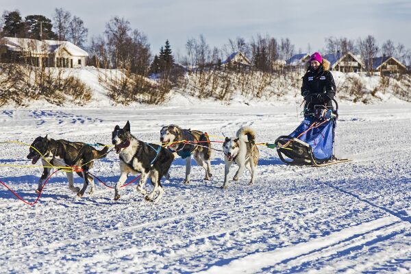 Skaper gode minner ute i naturen