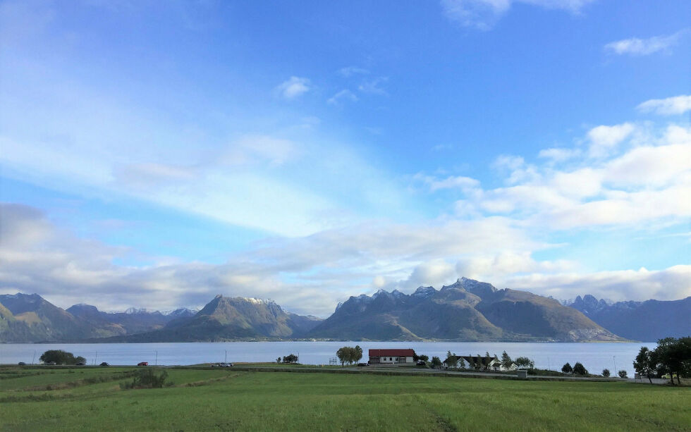 Sametinget har bevilget 200.000 til omlegging fra båsdrift til løsdrift.
 Foto: Norsk Landbruksrådgivning Nord-Norge