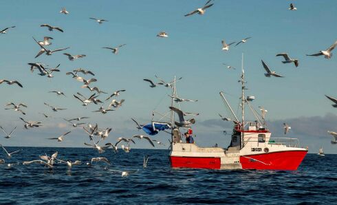 Seks kommuner i Finnmark tilbyr ungdomsfiske