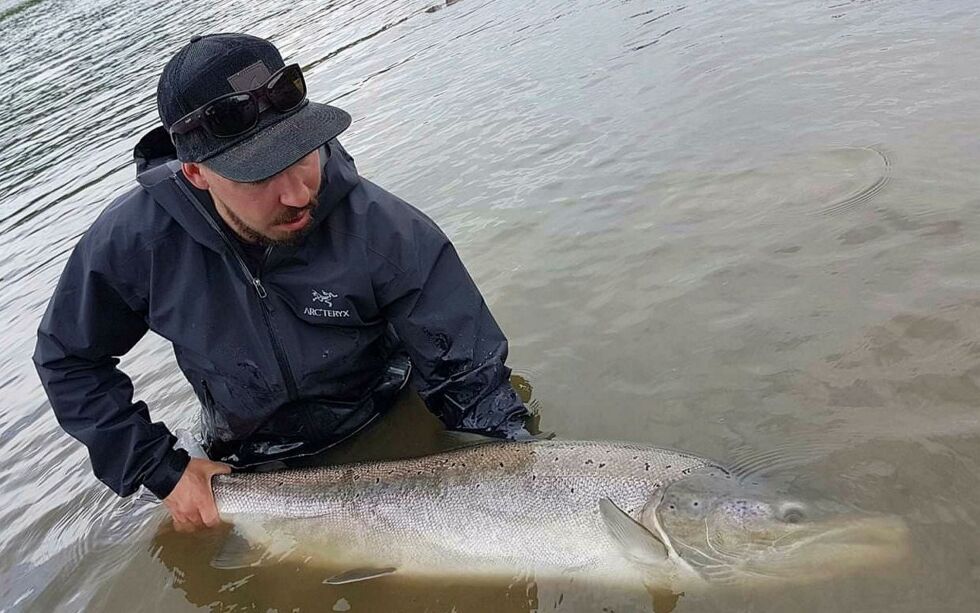 Her slipper Juha Wesslin ut laksen på 17 kilo, som han fikk nylig på flue i Neidenelva. Foto: Privat