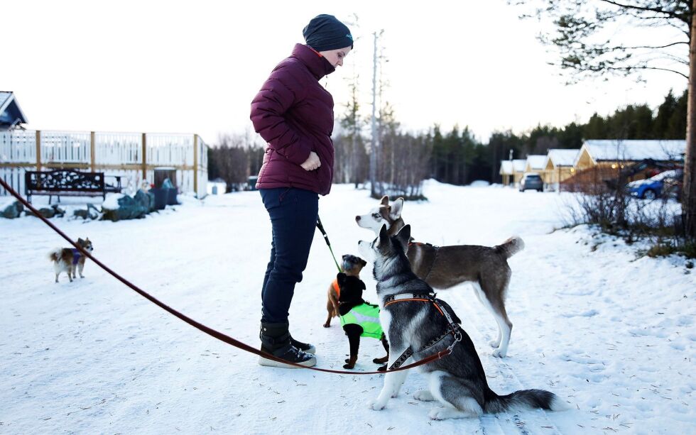 Å ha fem hunder er ingen spøk, det krever mye arbeid og trening, men det synes Silje bare er moro.
 Foto: June Helén Bjørnback