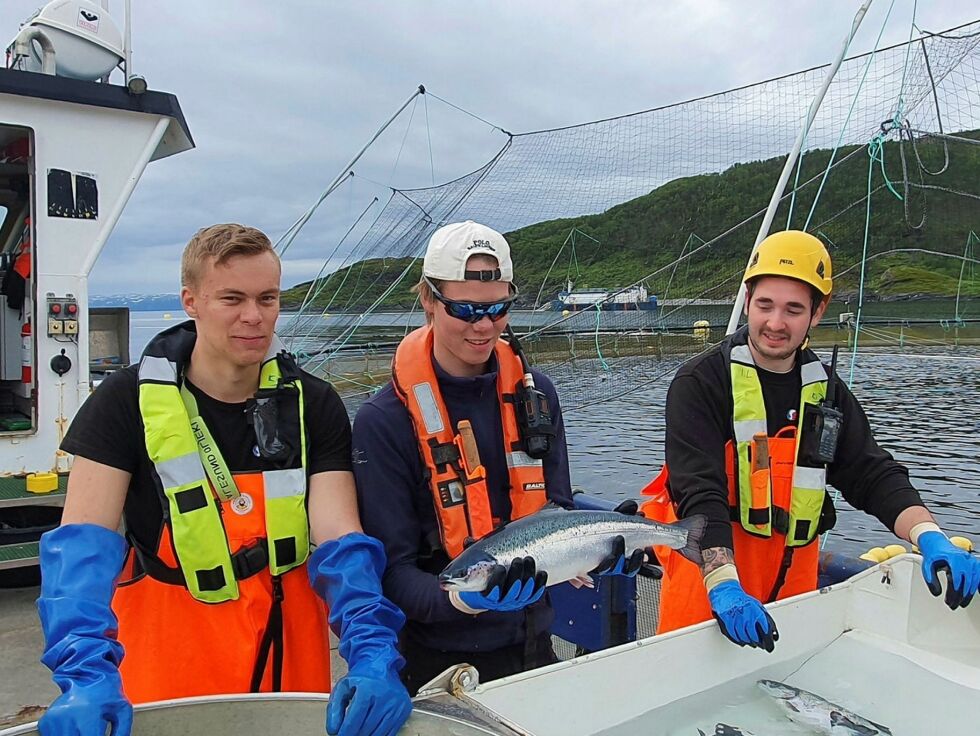 Fra venstre: Amund Gustavsen (19) Niclas Øfeldt (19) og Marcos Zuniga (20), alle fra Kjøllefjord tok nylig fagbrev i akvateknikk på Salmars anlegg i Bekkarfjord i Lebesby kommune.
 Foto: Tom Hardy
