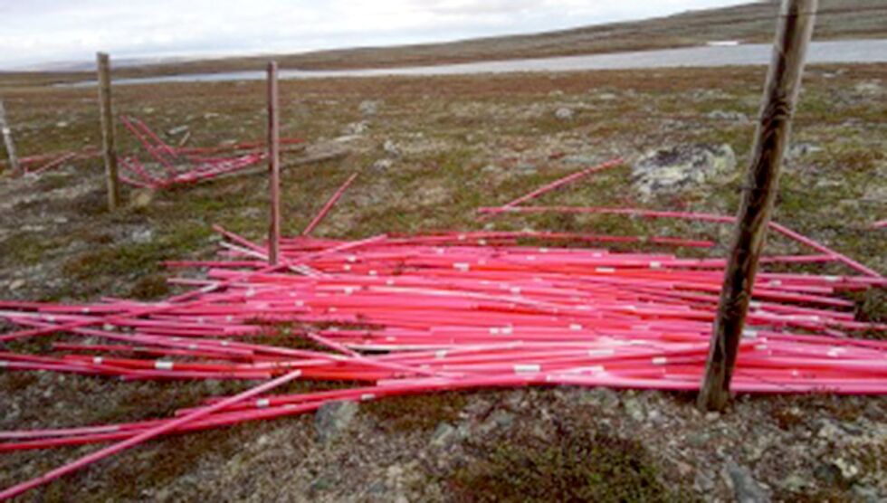 Slike dunger av plast er spredt rundt i Porsanger-naturen.
 Foto: Privat