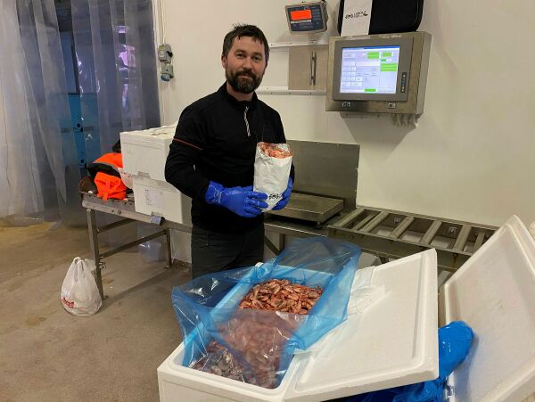 Ordna reker og tunger til Bugøynes